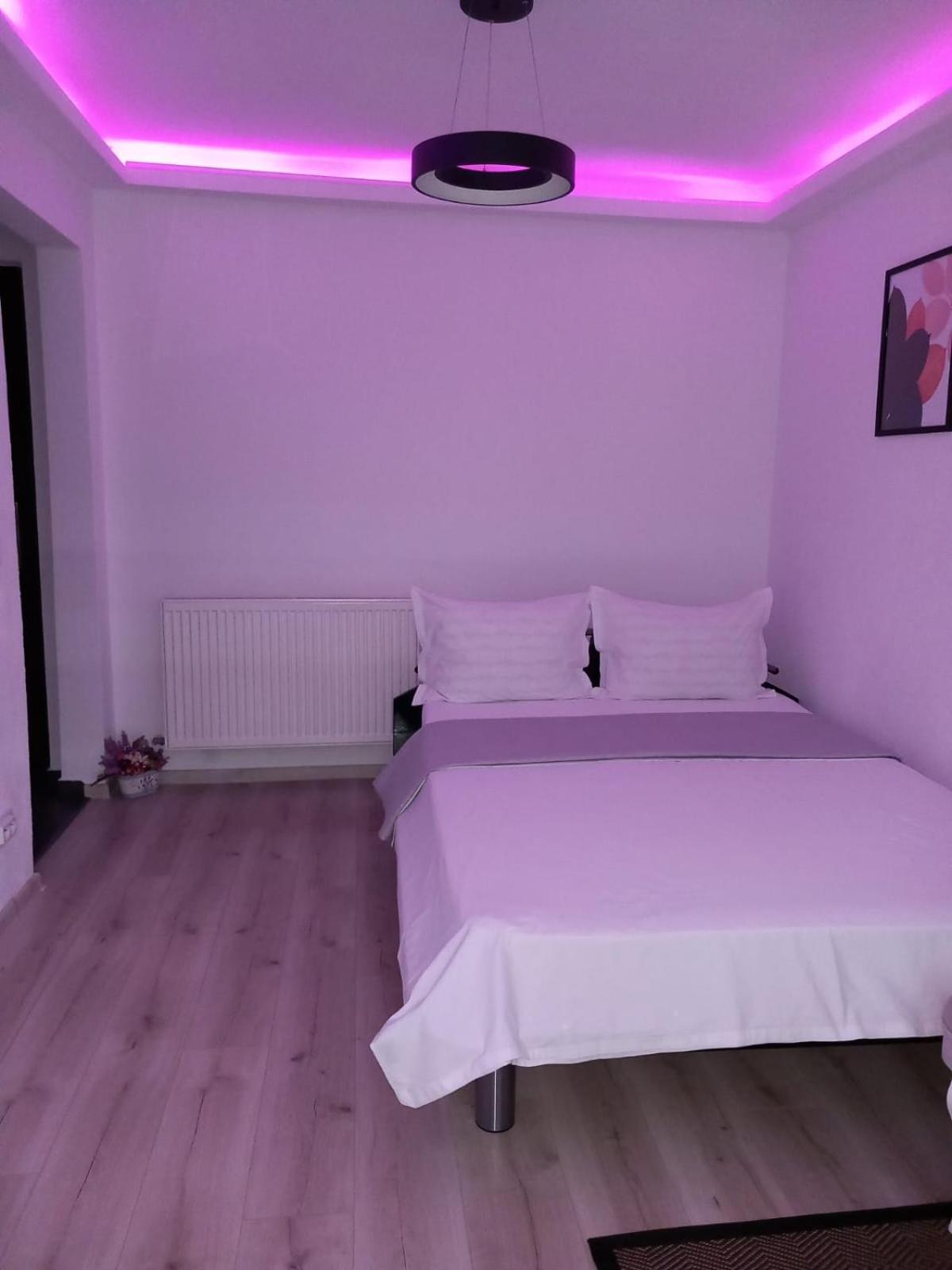 Radu'S Room Curtea de Argeş المظهر الخارجي الصورة